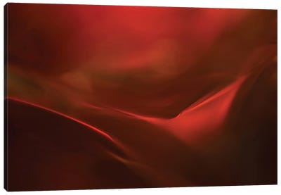 The Red Valley Canvas Art Print - Abstract Photography