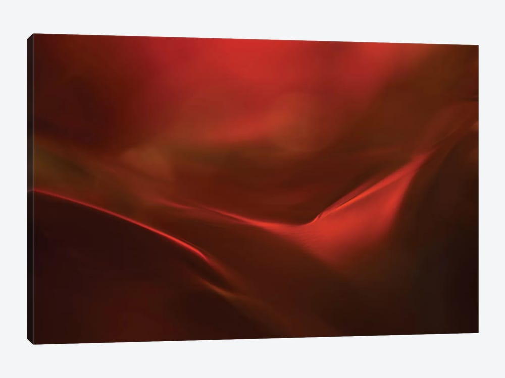 The Red Valley by Heidi Westum 1-piece Canvas Art