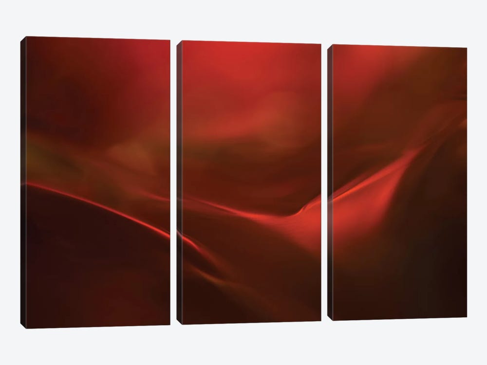 The Red Valley 3-piece Canvas Art