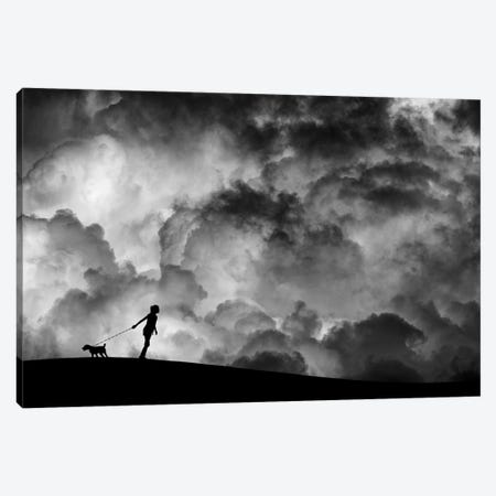 Prelude To The Dream Canvas Print #OXM1493} by Hengki Lee Canvas Print
