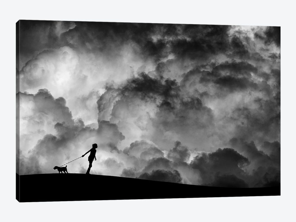 Prelude To The Dream by Hengki Lee 1-piece Canvas Wall Art