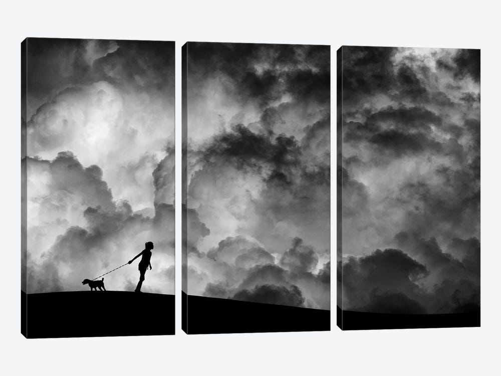 Prelude To The Dream by Hengki Lee 3-piece Canvas Wall Art