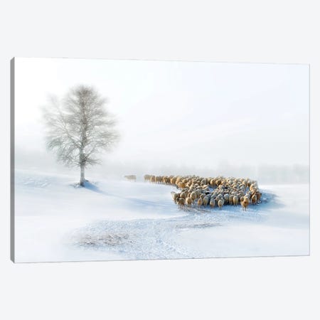 In Snow Canvas Print #OXM1518} by Hua Zhu Canvas Artwork