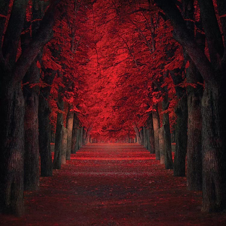Endless Passion by Ildiko Neer wall art