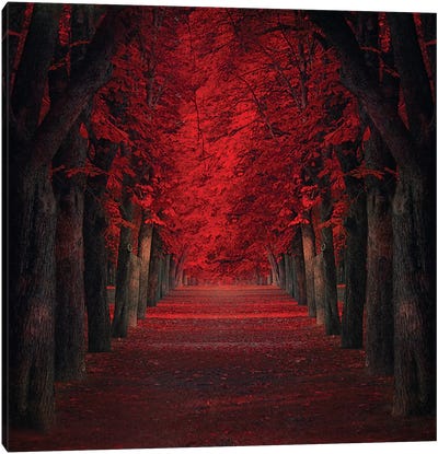 Endless Passion Canvas Art Print - Scenic Fall