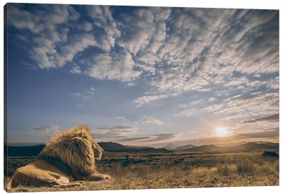 The King And His Kingdom Canvas Art Print