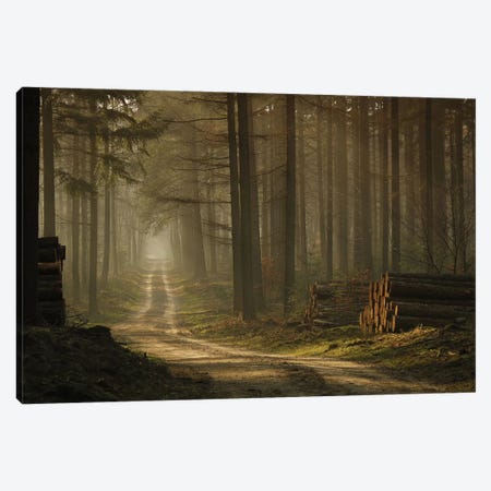 A Forest Walk Canvas Print #OXM1562} by Jan Paul Kraaij Canvas Print