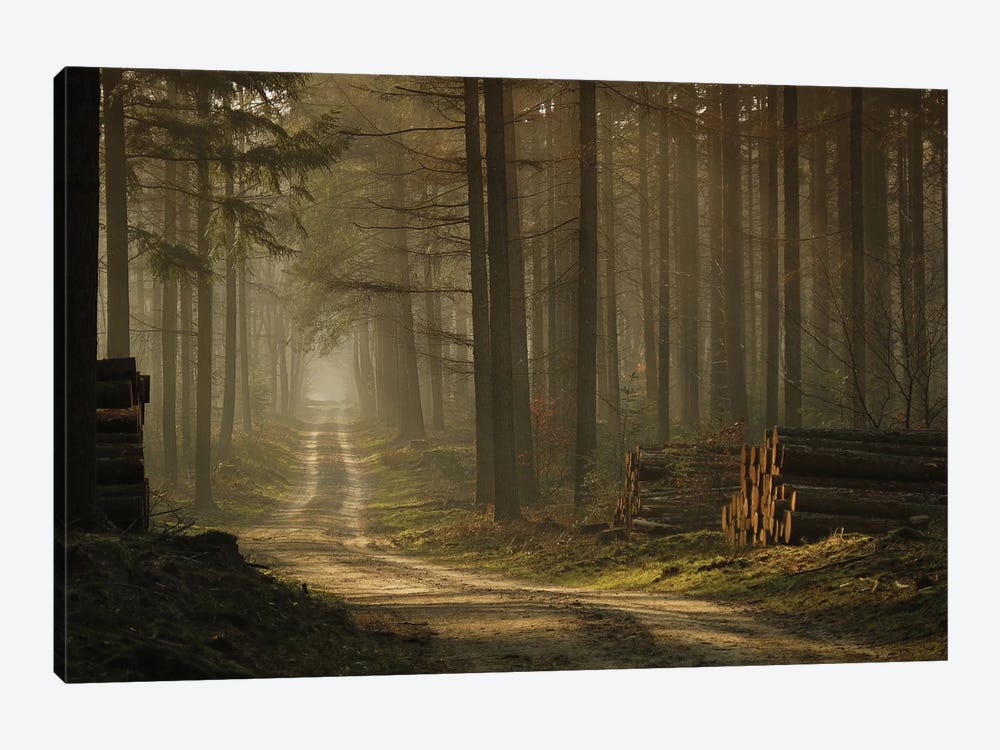 A Forest Walk by Jan Paul Kraaij 1-piece Art Print