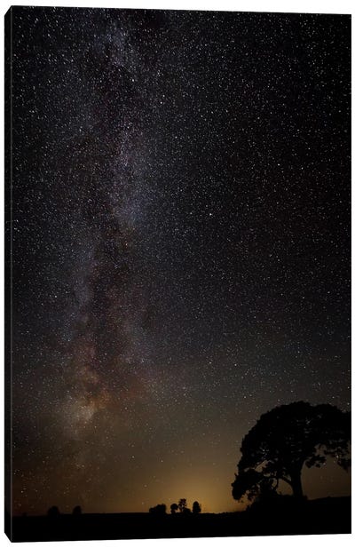 Milky Way Canvas Art Print - 1x Scenic Photography