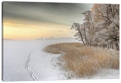Misty Winter Morning Canvas Art Print