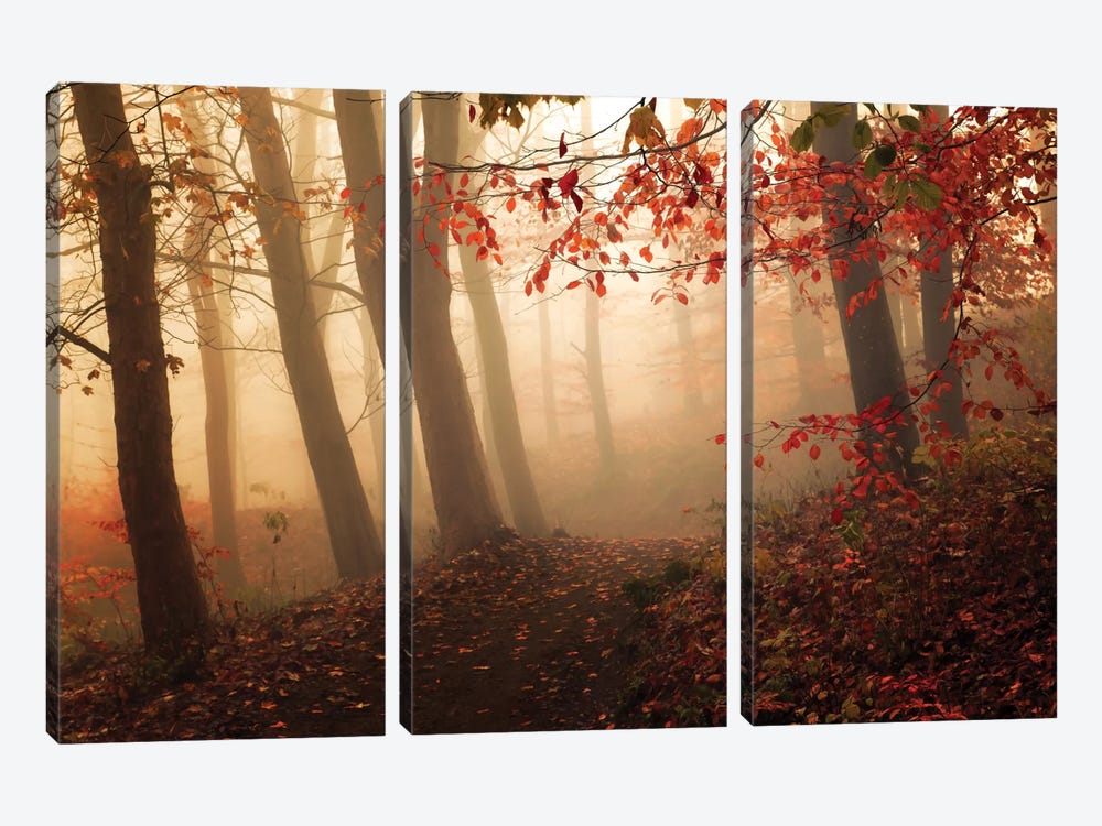 Towards The Light by Leif Londal 3-piece Canvas Artwork