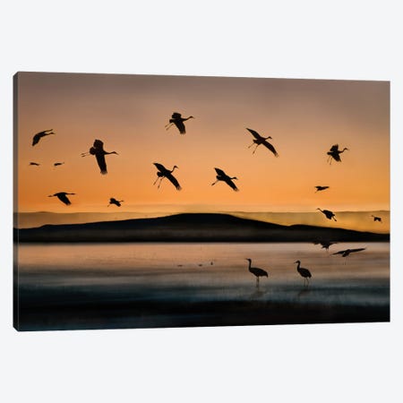 Fly-in At Sunset Canvas Print #OXM170} by Shenshen Dou Canvas Wall Art