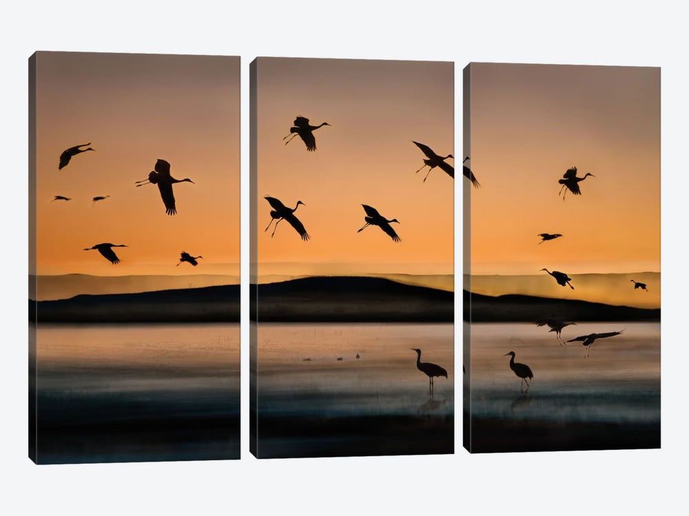 Fly-in At Sunset 3-piece Canvas Art Print