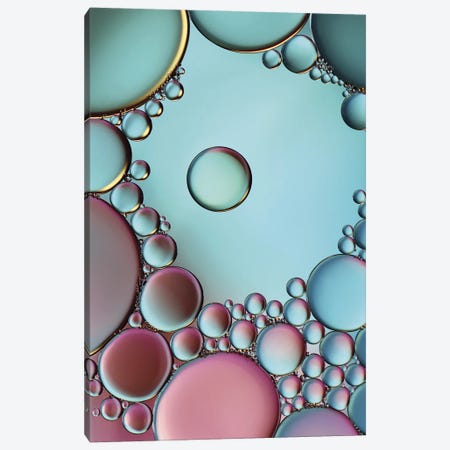 Surrounded Or Protected? Canvas Print #OXM171} by Heidi Westum Canvas Artwork