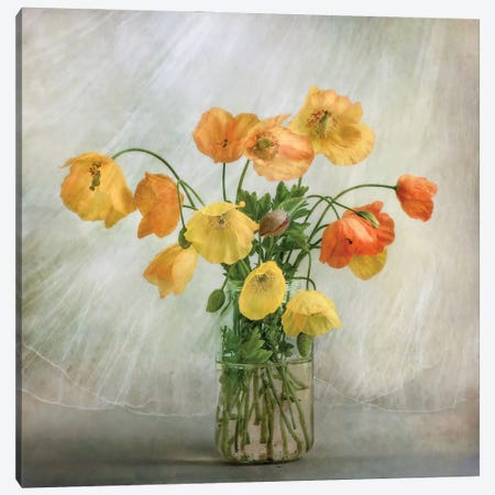 In The Window Canvas Print #OXM1726} by Mandy Disher Canvas Wall Art