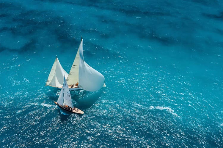 Croisement Bleu