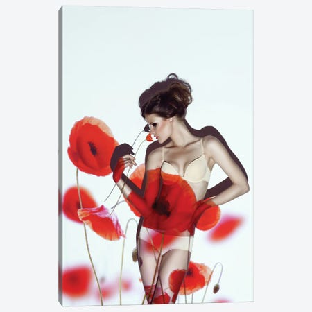 Red Canvas Print #OXM1751} by marinastudio Canvas Artwork