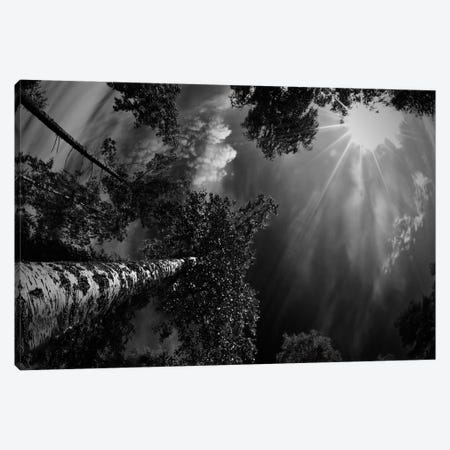 Dreaming Before The Thunder Canvas Print #OXM1813} by Mikael Jigmo Canvas Print
