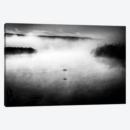 Untitled Canvas Print #OXM1817} by Miki Meir Levi Canvas Art