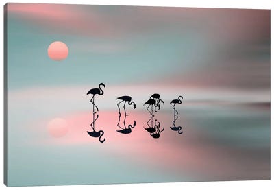 A Family Of Flamingos Canvas Art Print - Sunrise & Sunset Art