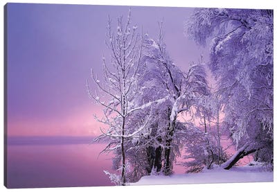 Stillness Canvas Art Print - Snowscape Art