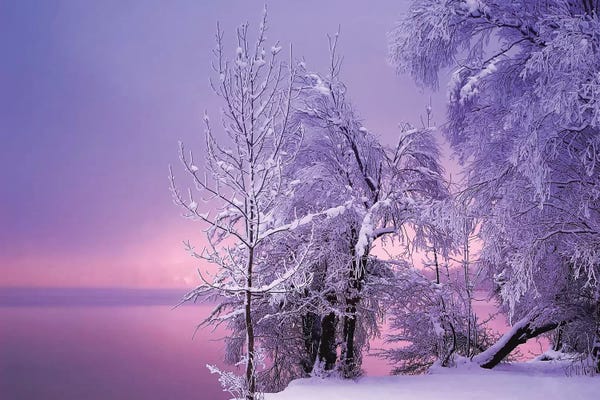 Scenic & Landscapes: Stillness by Norbert Maier