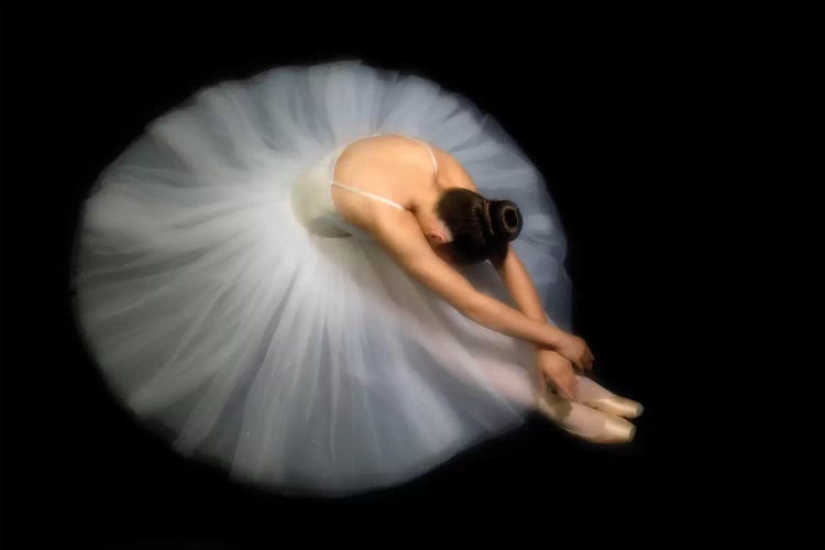 Elegance by Pauline Pentony wall art