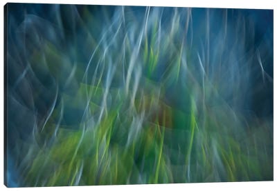 Electro-Shock Blues Canvas Art Print - Abstract Photography