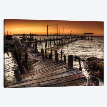 Carrasqueira Canvas Print #OXM1939} by Paulo Gomes Canvas Art