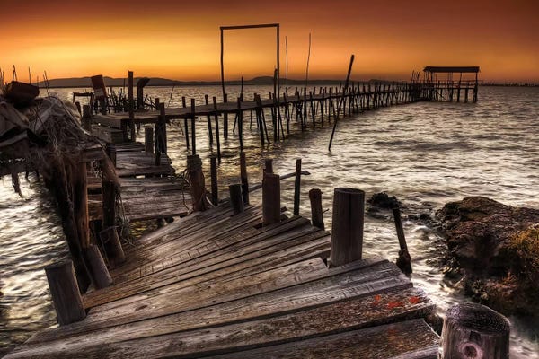 Nautical: Carrasqueira by Paulo Gomes