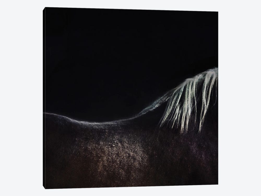 The Naked Horse 1-piece Canvas Artwork