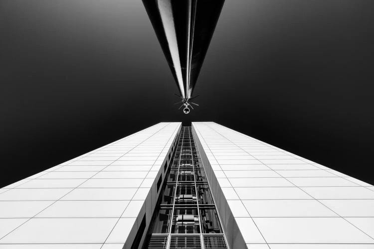Guarding The Elevator Shaft by Michiel Hageman wall art