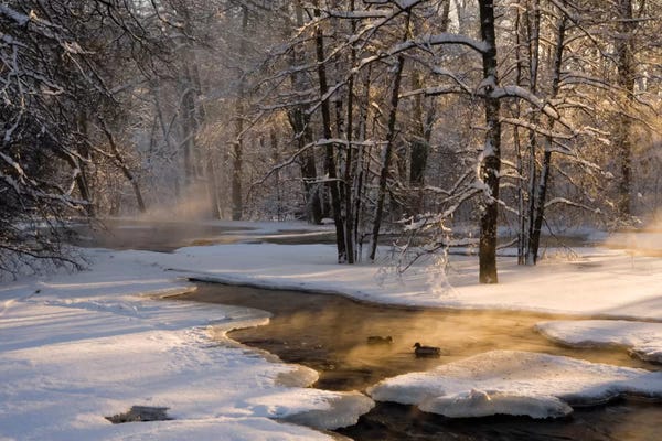 Snowscapes: The First Light by Robin Eriksson