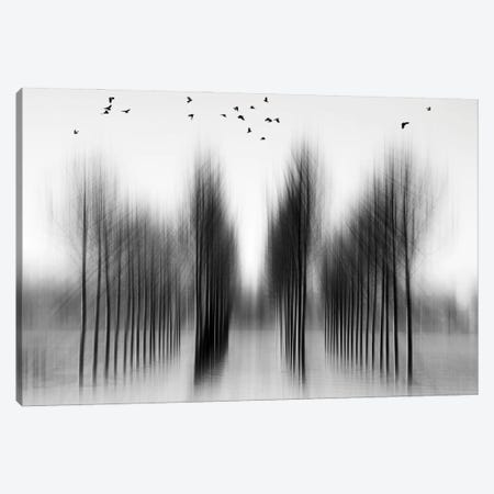 Tree Architecture Canvas Print #OXM2037} by Roswitha Schleicher-Schwarz Canvas Wall Art