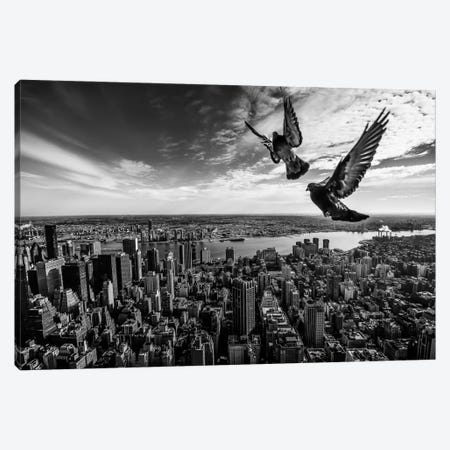 Pigeons On The Empire State Building Canvas Print #OXM2076} by SergioSousa Canvas Wall Art