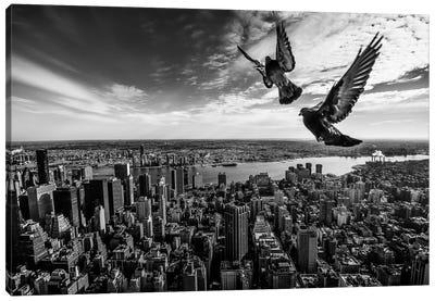 Pigeons On The Empire State Building Canvas Art Print