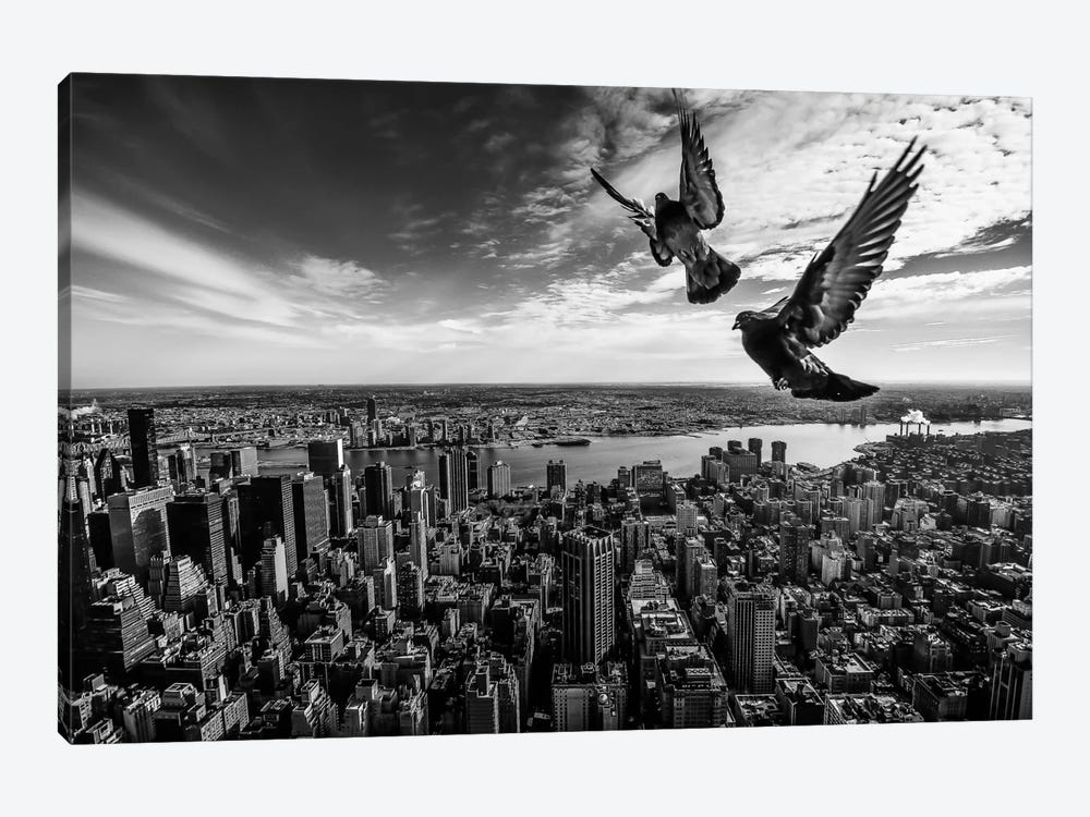 Pigeons On The Empire State Building by SergioSousa 1-piece Canvas Artwork