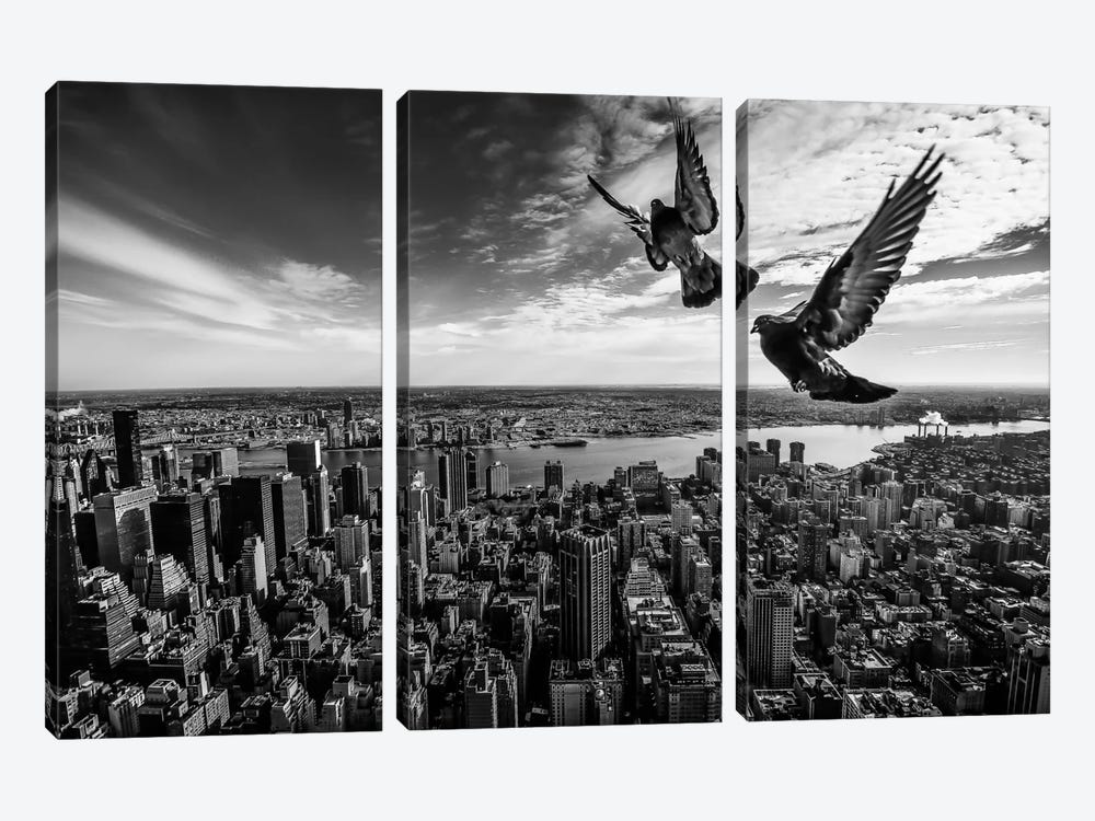Pigeons On The Empire State Building by SergioSousa 3-piece Canvas Art