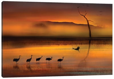 We Are Here Waiting For You Canvas Art Print - Mist & Fog Art