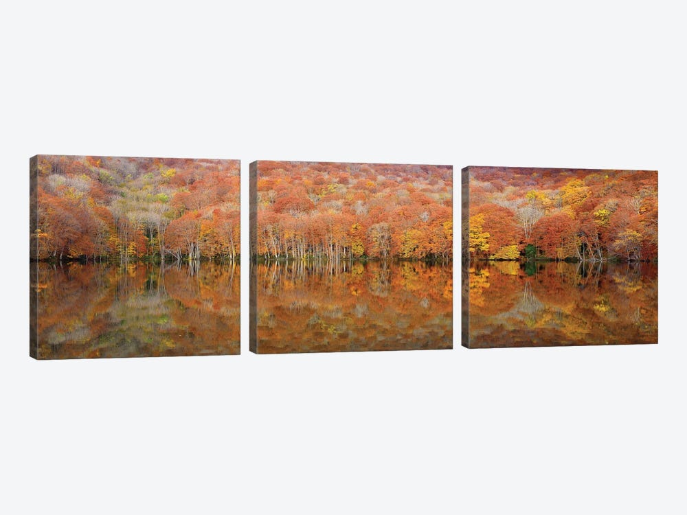 Glowing Autumn by Sho Shibata 3-piece Canvas Art