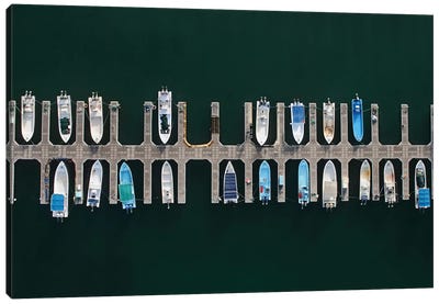 Vertical Alignment Canvas Art Print - Aerial Beaches 
