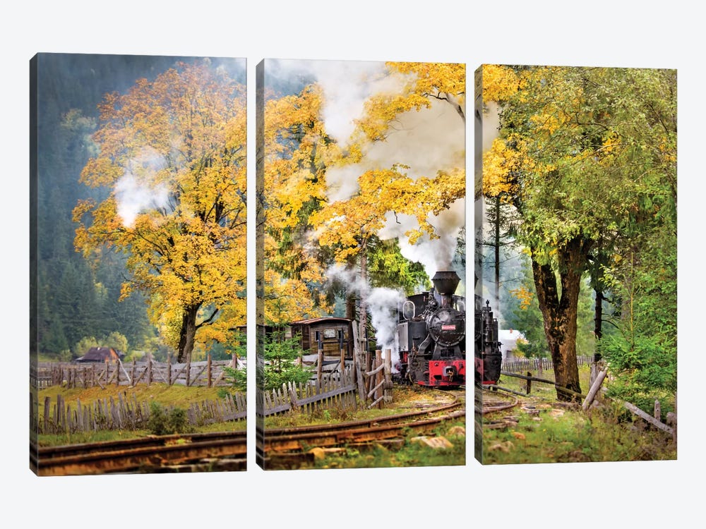 A Sort Of Fairy Tale by Sorin Onisor 3-piece Canvas Print