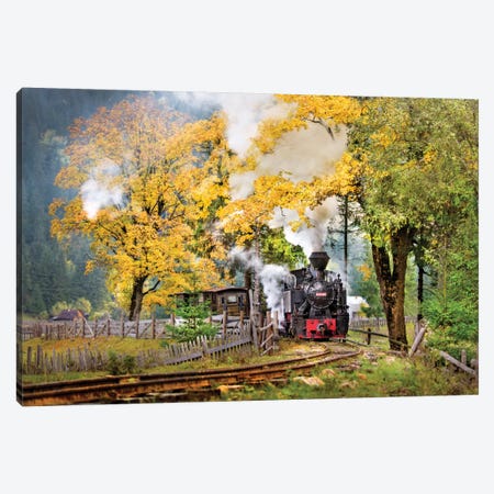 A Sort Of Fairy Tale Canvas Print #OXM2093} by Sorin Onisor Canvas Print