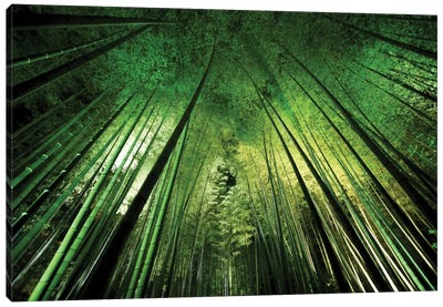 Bamboo Night Canvas Art Print - Plant Art