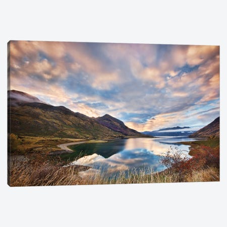 Morning Delight At Lake Hawea Canvas Print #OXM2229} by Yan Zhang Canvas Art