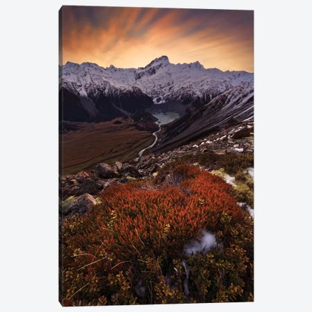 Mount Sefton, Aroarokaehe Range, Southern Alps, New Zealand Canvas Print #OXM2230} by Yan Zhang Art Print