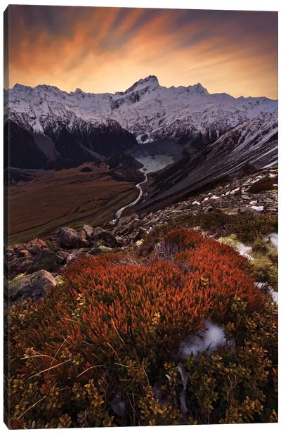 Mount Sefton, Aroarokaehe Range, Southern Alps, New Zealand Canvas Art Print - Snowy Mountain Art