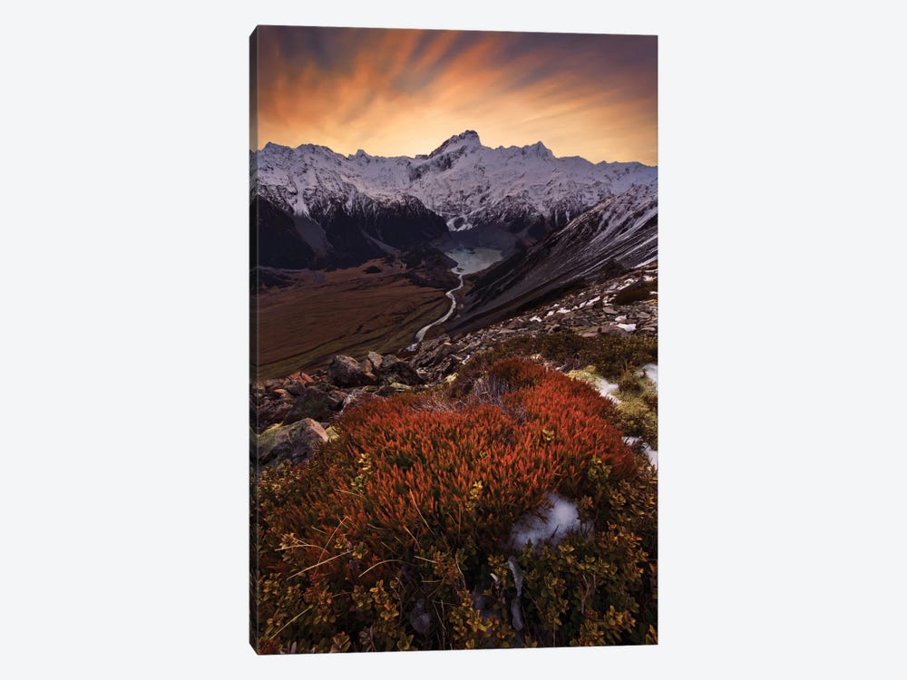 Mount Sefton, Aroarokaehe Range, Southern Alps, New Zealand by Yan Zhang 1-piece Art Print