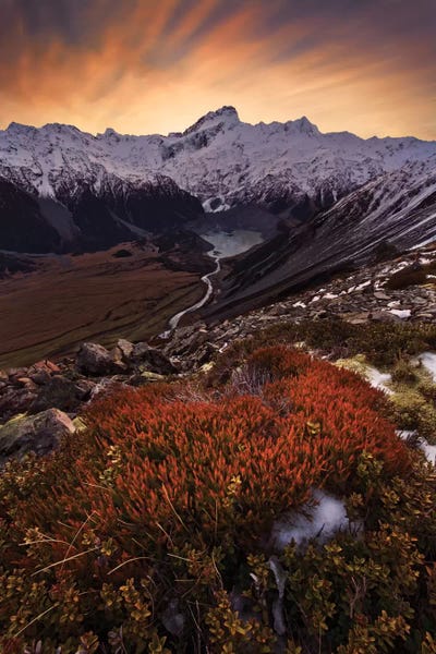 Snowy Mountains: Mount Sefton, Aroarokaehe Range, Southern Alps, New Zealand by Yan Zhang