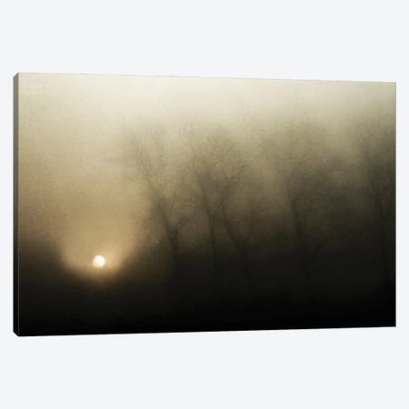 Celestial Melody To The Earth Canvas Print #OXM2249} by Yvette Depaepe Canvas Art